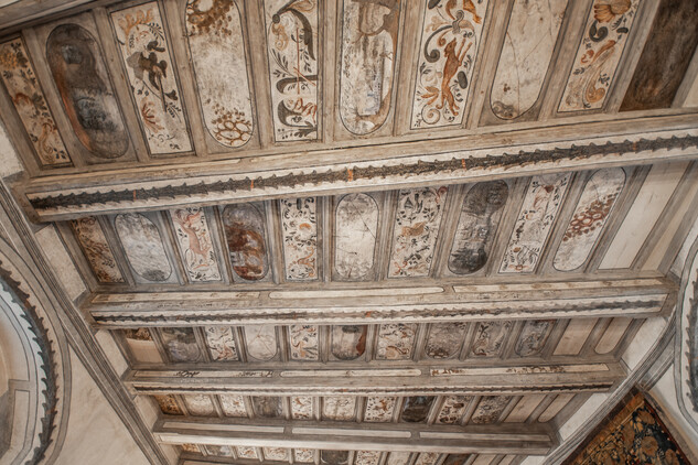 Malovaný renesanční strop 2021 | © Autor: Radomír Kočí, fotografie nepodléhá Creative Commons